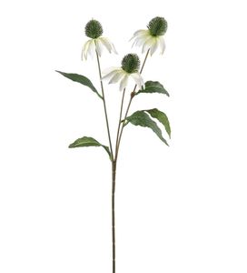 Hovedbilde Mr Plant Solhatt